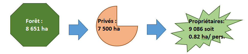 diagramme3